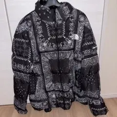 THE NORTH FACE NOVELTY LOFTY DOWN JACKET