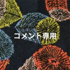 コメント·質問専用です