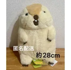 マーモットのもっとっとモアJB マーモット　叫ぶもっとっと　ぬいぐるみ