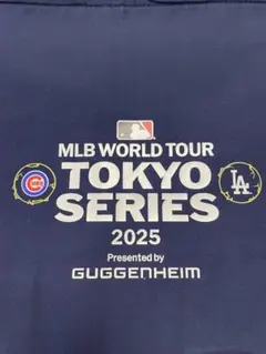 【非売品】MLB TOKYO SERIES 2025 保冷バッグ