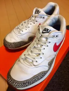 【超超レア】NIKE AIR MAX 1 G NRG 28.0cm