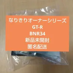なりきりオーナーシリーズ GT-R BNR34