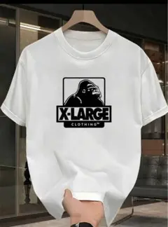 早い者勝ち！X-LARGE (エックスラージ) プリントTシャツ SHIEN