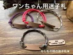Item thumbnail for item ca10e411-d934-47ed-b50f-03b9c0505697