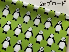 2m　こっちむいて　パンダ　ブロード　生地　動物　セブンベリー　キウイ　306