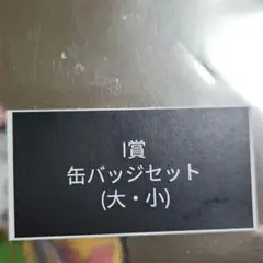 倖田來未　KODA KUMI 缶バッジセット (大・小)