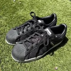 Item thumbnail for item 40496ea6-0c59-4407-9a89-e0d2eb9d8b41