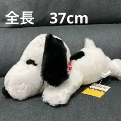 ★新品未使用品★