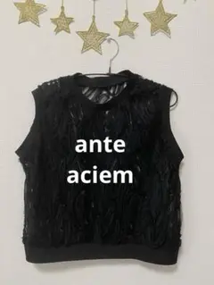 anteaciem ブラック ノースリーブ シアー　トップス　ベスト