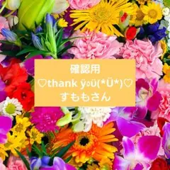【確認用】すももさん( *°ω°* )/ᵗᑋᵃᐢᵏ ᵞᵒᵘ