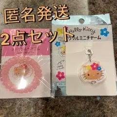 ハローキティ アクリルミニチャーム 2点セット