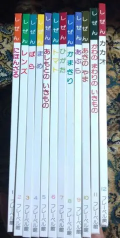 しぜん　12冊セット　1992〜1993