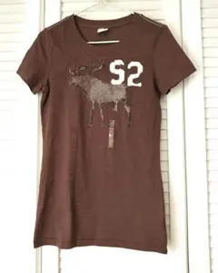 Abercrombie&Fitch レディース半袖Tシャツ