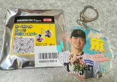 阪神2025トラコデー シークレットオーロラアクリルキーホルダー 中川勇人