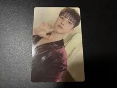 SEVENTEEN セブチ ホシ fml トレカ 封入