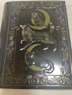 カルディ　ハロウィン　魔法辞書　魔女缶　2024
