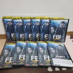 FBI:特殊捜査班 シーズン4 DVD全11巻セット