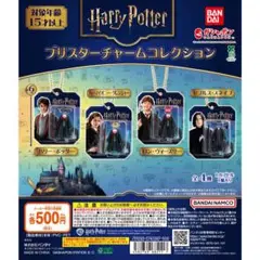 ハリー・ポッター ブリスターチャームコレクション　コンプリート