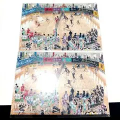 ハイキュー!!　45巻 アニメイト　特典　イラストカード　2枚