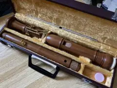 Item thumbnail for item 47181534-6558-4485-bf73-20b851a0d9fe