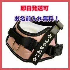 Item thumbnail for item c544438e-a518-461f-9898-bbb89fcadf40