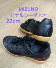 Mizuno モナルシーダ NEO サッカー トレーニングシューズ 22cm