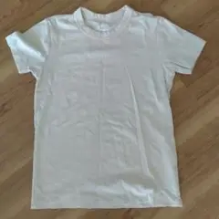 ベージュコットン 半袖Tシャツ