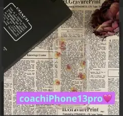 Item thumbnail for item 1313aeec-c49c-4a00-8853-32ab883c7689