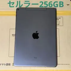 iPad Air3 第3世代 256GB スペースグレイ セルラーモデル
