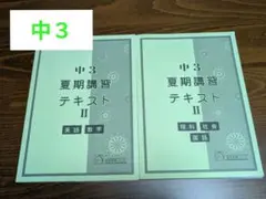 馬渕 中3 夏期講習 テキスト II 2冊セット