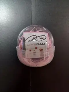 貴島明日香 サイン ミニチュアDAMデンモク
