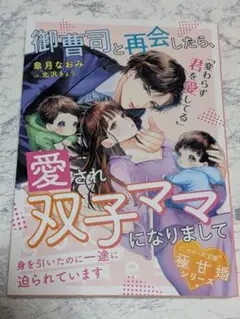 御曹司と再会したら、愛され双子ママになりまして～身を引いたのに一途に迫られてい…