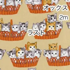 Item thumbnail for item 08942246-4d40-4219-8f49-47b2a0c5f179
