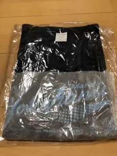 2024 横浜マラソン 参加Tシャツ Lサイズ