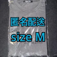 Item thumbnail for item 69608706-1c5e-4728-84e4-29f6fd2bf935