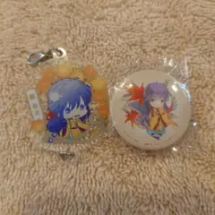 遙かなる時空の中で2 泉水 グッズ セット