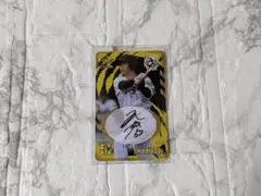 Item thumbnail for item 1cce4d56-4fb3-4e77-b19c-bb0b2eb173c3