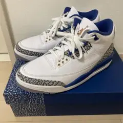 Air Jordan 3 ホワイト/ブルー　28.5