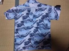 Item thumbnail for item 5131b8b6-f02c-43c7-909b-59fbc2ffcfd0