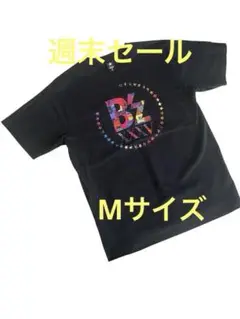 Item thumbnail for item 75f235e1-5f31-445e-8f0a-2f01887a700e