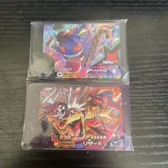 悪リザードン、ゲンガーセット
