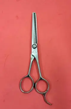 Item thumbnail for item 08d350f1-7c03-4ce2-9c35-ccbe979db1ba