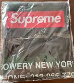 Item thumbnail for item 690719c8-9ce0-41b3-bd99-83002138ea89