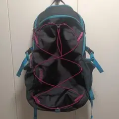 パタゴニア レフュジオデイパック30L