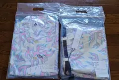Item thumbnail for item 0279596f-2129-435a-a88d-8645e7a65df0