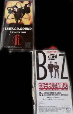 ビッグフライ様 B'z CD 2枚