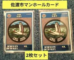 新潟県佐渡市 マンホールカード 第6弾 旧新穂村 2枚セット