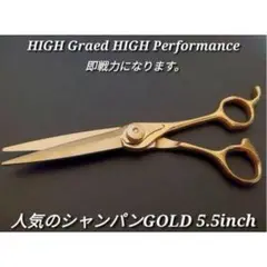 Item thumbnail for item a216ac1d-de25-4154-a44a-b63cb801b02c