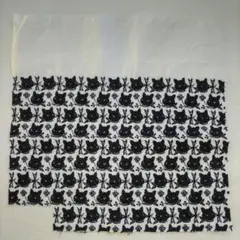 Item thumbnail for item fc0fc534-0939-4a3d-9ba6-679eea133040