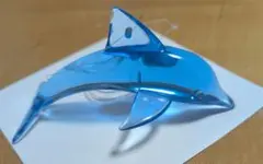 涼しげなイルカ